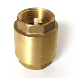 Обратный клапан 2"