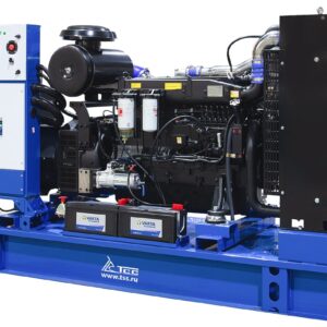 Дизельный генератор ТСС АД-200С-Т400-1РМ5 ПРОФ