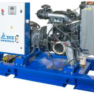 Дизельный генератор ТСС АД-24С-Т400-1РМ20 (80313AM1P, Mecc Alte)